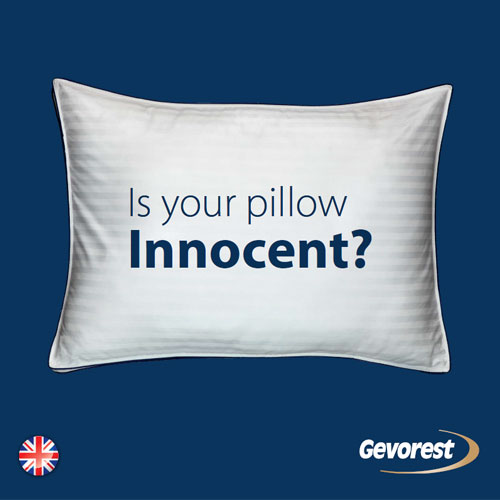 INNOCENT PILLOW